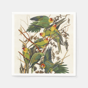Vintage Audubon Carolina-Sittich-Vogelkunst Serviette
