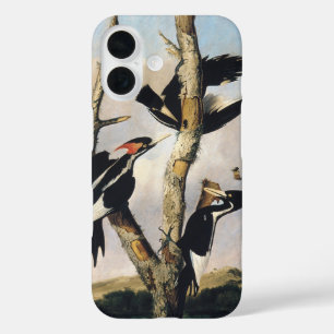 Vintage Audubon Elfenbeinspecht Kunst iPhone 16 Hülle