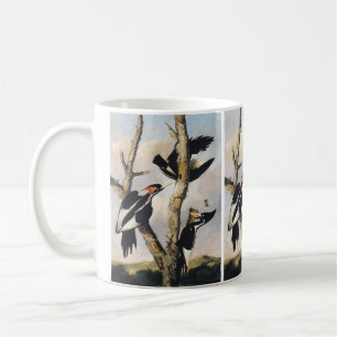 Vintage Audubon Elfenbeinspecht Kunst Kaffeetasse