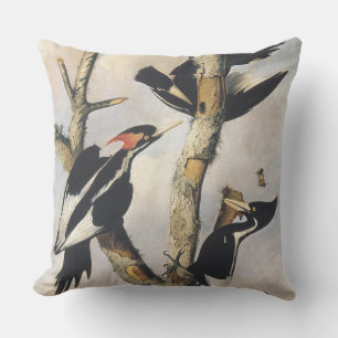 Vintage-Audubon-Elfenbeinspecht-Kunst Kissen