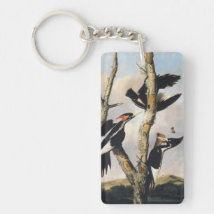 Vintage-Audubon-Elfenbeinspecht-Kunst Schlüsselanhänger