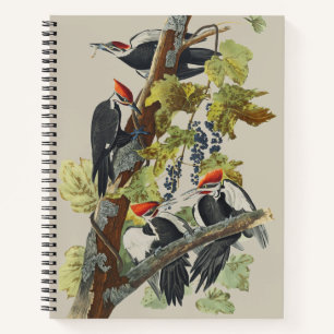 Vintage Audubon Elsterhelsspecht-Vogelkunst Notizbuch