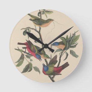 Vintage Audubon Gemalter Bunting Farbige Vogelkuns Runde Wanduhr