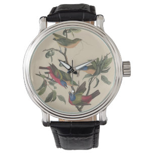 Vintage Audubon Gemalter Buntsperling Farbenfrohe Armbanduhr