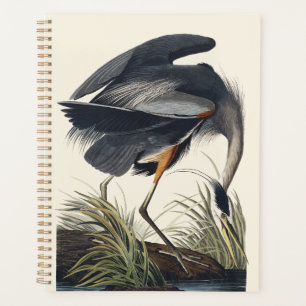 Vintage Audubon Graureiher Vogel Natur Kunst Planer