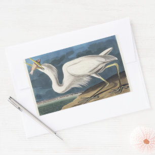 Vintage Audubon-Großer Silberreiher-Vogelkunst Rechteckiger Aufkleber