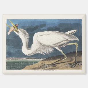 Vintage-Audubon-Großer-Weißer-Reiher-Vogel-Kunst Magnet