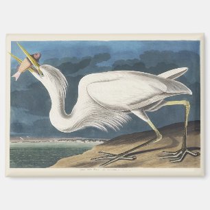 Vintage-Audubon-Großer-Weißer-Reiher-Vogel-Kunst Magnet