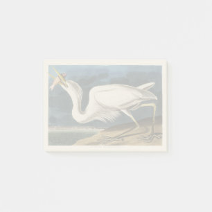 Vintage-Audubon-Großer-Weißer-Reiher-Vogel-Kunst Post-it Klebezettel