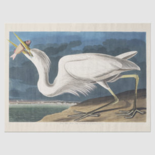 Vintage-Audubon-Großer-Weißer-Reiher-Vogel-Kunst Seidenpapier