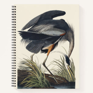 Vintage-Audubon-Großreiher-Vogel-Naturkunst Notizbuch