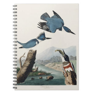 Vintage Audubon Gürtel-Eisvogel-Vogelkunst Notizblock