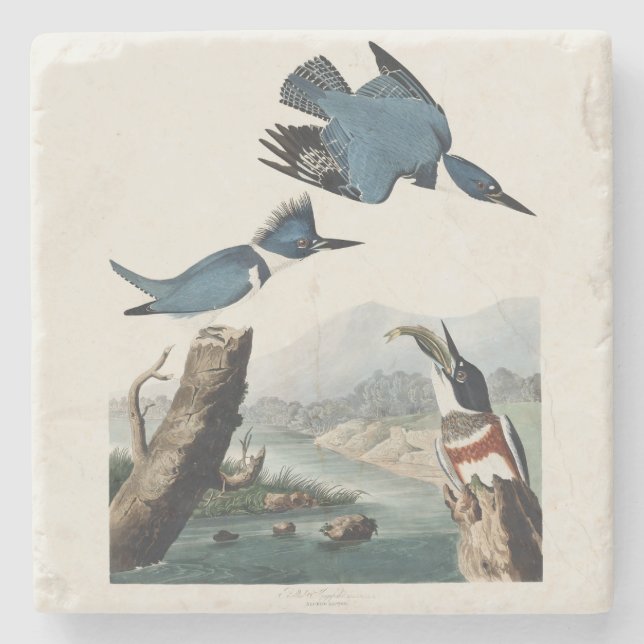 Vintage Audubon Gürtel-Eisvogel-Vogelkunst Steinuntersetzer (Vorderseite)
