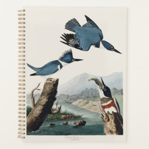 Vintage-Audubon-Gürtel-Kis पक्षी-Kunst Planer