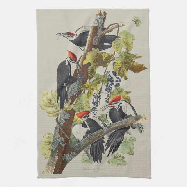 Vintage Audubon Helmspecht-Vogelkunst Geschirrtuch (Vertikal)