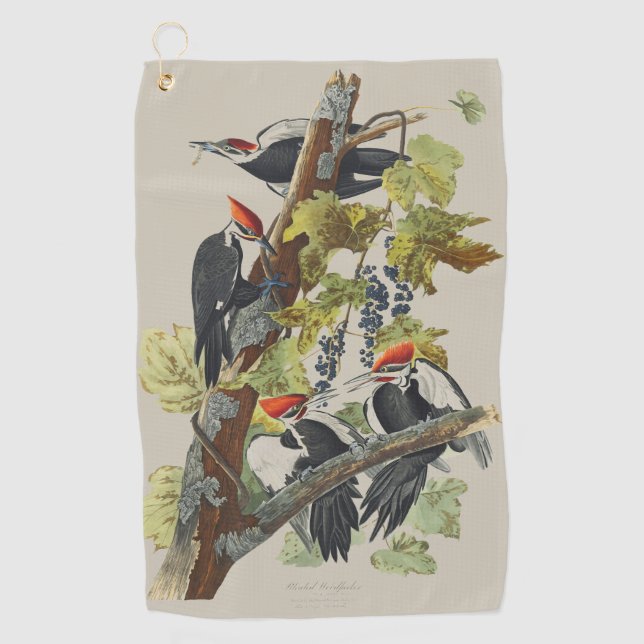 Vintage Audubon Helmspecht-Vogelkunst Golfhandtuch (Vorderseite)