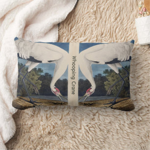 Vintage-Audubon-Jungfern-Kranich-Vogel-Natur-Kunst Lendenkissen