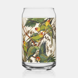 Vintage-Audubon-Karolina-Sittich-Vogelkunst Dosenglas