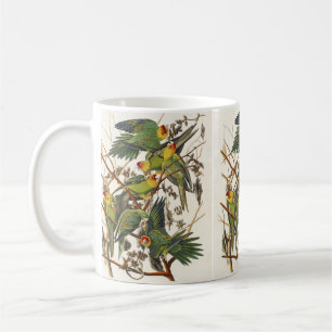 Vintage-Audubon-Karolina-Sittich-Vogelkunst Kaffeetasse