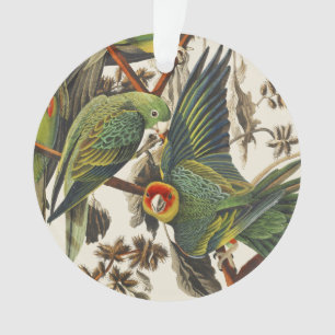 Vintage-Audubon-Karolina-Sittich-Vogelkunst Ornament