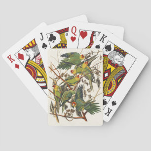 Vintage-Audubon-Karolina-Sittich-Vogelkunst Spielkarten