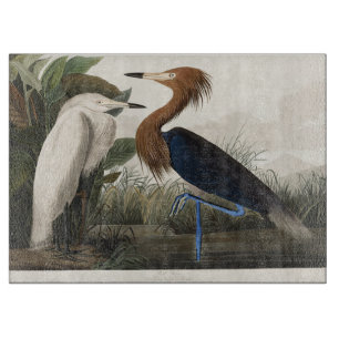 Vintage-Audubon-Kunst des Rötlichen Sichlers Schneidebrett