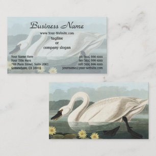 Vintage-Audubon-Kunst Weiße Schwan-Seerose Visitenkarte