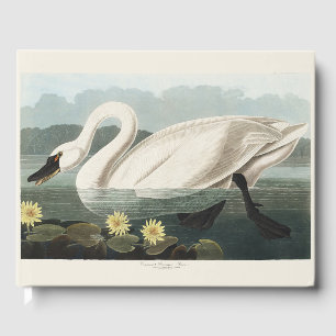 Vintage-Audubon-Kunst Weiße Schwäne Seerosen Gästebuch