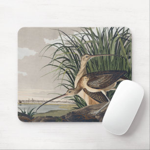 Vintage-Audubon-Langschnabel-Brachvogel-Vogel-Kuns Mousepad
