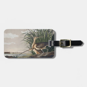 Vintage-Audubon-Langschnabel-Brachvogel-Vogelkunst Gepäckanhänger