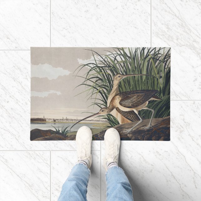 Vintage Audubon Long-billed Curlew Bird Art Fußmatte (Indoor)