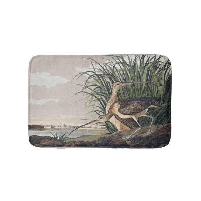 Vintage Audubon Long-billed Curlew Vogelkunst Badematte (Vorderseite)