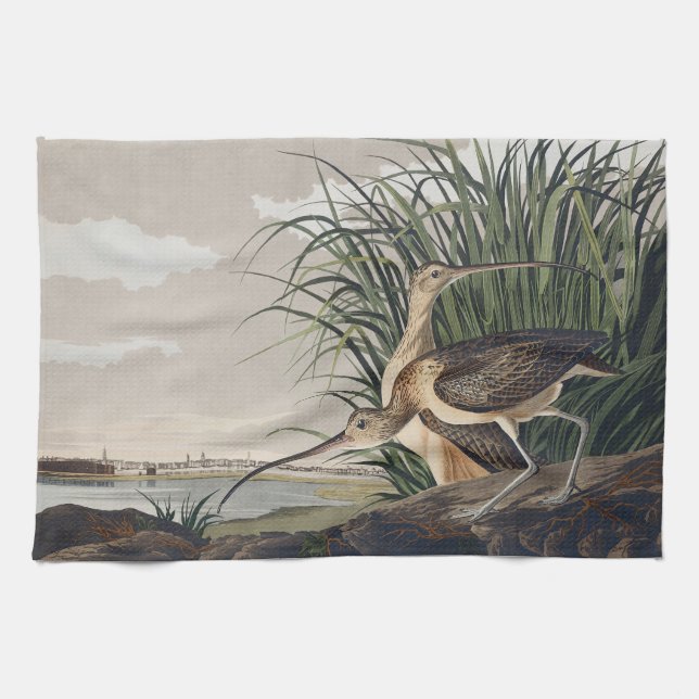 Vintage Audubon Long-billed Curlew Vogelkunst Geschirrtuch (Horizontal)