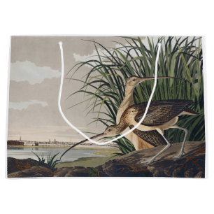 Vintage Audubon Long-billed Curlew Vogelkunst Große Geschenktüte