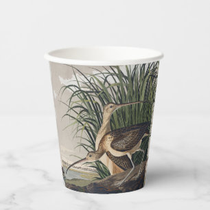 Vintage Audubon Long-billed Curlew Vogelkunst Pappbecher