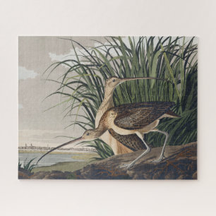 Vintage Audubon Long-billed Curlew Vogelkunst Puzzle
