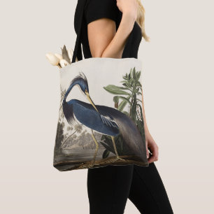 Vintage Audubon Louisiana Reiher Vogel Kunst