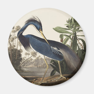 Vintage-Audubon-Louisiana-Reiher-Vogel-Kunst Magnet