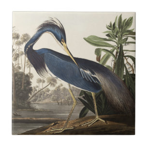 Vintage Audubon-Louisiana-Reiher-Vogelkunst Fliese