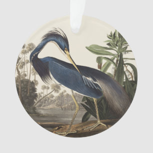 Vintage Audubon-Louisiana-Reiher-Vogelkunst Ornament