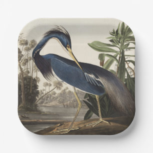 Vintage Audubon-Louisiana-Reiher-Vogelkunst Pappteller