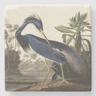 Vintage Audubon-Louisiana-Reiher-Vogelkunst Steinuntersetzer