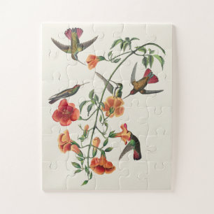 Vintage Audubon Mango Kolibris Blumen Puzzle