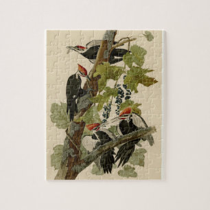 Vintage Audubon-Pileated-Woopecker-Vogelmalerei Puzzle