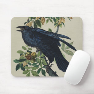 Vintage Audubon Rabe Vogel Natur Kunst Mousepad