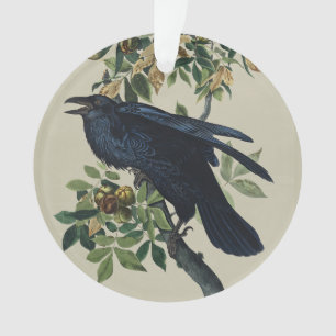Vintage Audubon Rabe Vogel Natur Kunst Ornament