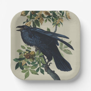 Vintage Audubon Rabe Vogel Natur Kunst Pappteller