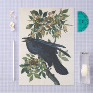 Vintage Audubon Rabe Vogel Natur Kunst Seidenpapier