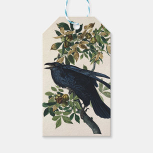 Vintage-Audubon-Raben-Vogel-Naturkunst Geschenkanhänger