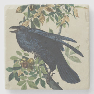 Vintage-Audubon-Raben-Vogel-Naturkunst Steinuntersetzer